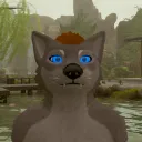 amarokofnature