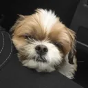 therealvinbluu