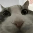 mrgamer6088