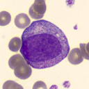 avatar St deb. Giantow the Lab