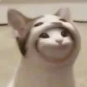2danimegirlswut