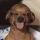 avatar Joseph Joestar