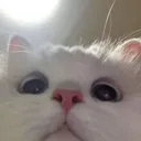 leylapm