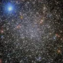 starxd100 avatar