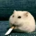 pedrolcsz_