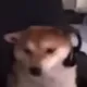 why_wastaken avatar