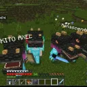 rallocachu611 avatar