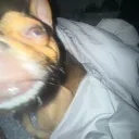 wavy_pedro420