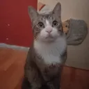 santiagogamerprado