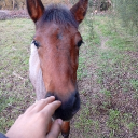 avatar 𝒞𝓍𝒯𝑒𝓁𝓁𝒶 ✨