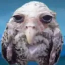 tralalerokalalea avatar