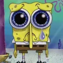 bobsito123 avatar