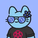 0xcatslover