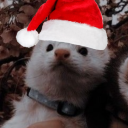 avatar ✨ E L E A✨