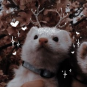 avatar ✨ E L E A✨