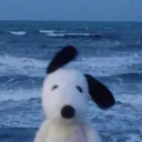 seacuz