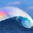 seacuz