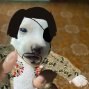 avatar 𝕊𝕒𝕓𝕖𝕣