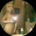 gamerhyenayt