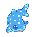 chapshark
