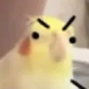suzu.exe