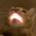 suzu.exe