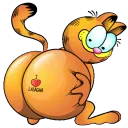 garfieldkota