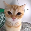 _champ_.#8261's avatar