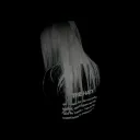 .nnvmd