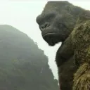 lukkeboiii