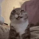 alexstargazer avatar