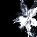 divinedivinedivined