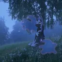 Окак