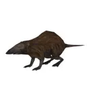 lowpolygonrat
