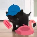 leperdoesit