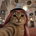 Mussti