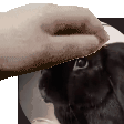 dreamy_euclid97 member profile picture