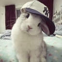 avatar BUN