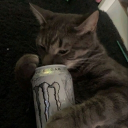 avatar Lau_Monster_28