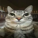 spirok