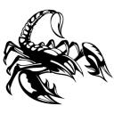 dscorpion.