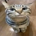 avatar Courage