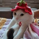 avatar ⛉ arap 🇱🇧