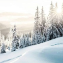 avatar JoeGamer97737