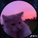 zxgey