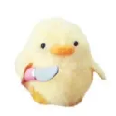 chipu.