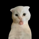 avatar Seon