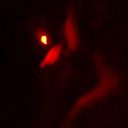 avatar [craig]s.list