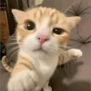 rayyyuuu