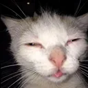 rayyyuuu